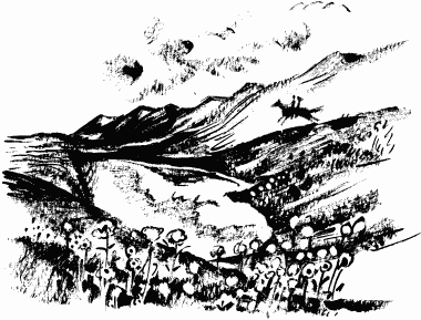 Иллюстрация к книге — Дела и ужасы Жени Осинкиной [i_124.png]