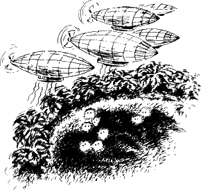 Иллюстрация к книге — Спасители Ураканда [i_056.png]