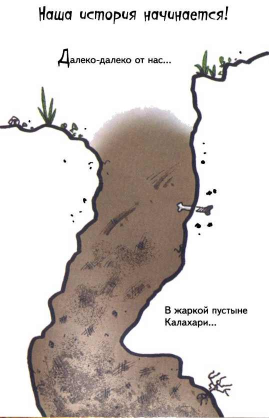 Иллюстрация к книге — Сурикаты-сумасброды. Невероятно смешные приключения в пустыне [i_006.jpg]