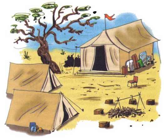 Иллюстрация к книге — Сурикаты-сумасброды. Невероятно смешные приключения в пустыне [i_011.jpg]