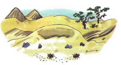 Иллюстрация к книге — Сурикаты-сумасброды. Невероятно смешные приключения в пустыне [i_015.jpg]