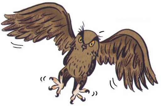 Иллюстрация к книге — Сурикаты-сумасброды. Невероятно смешные приключения в пустыне [i_019.jpg]