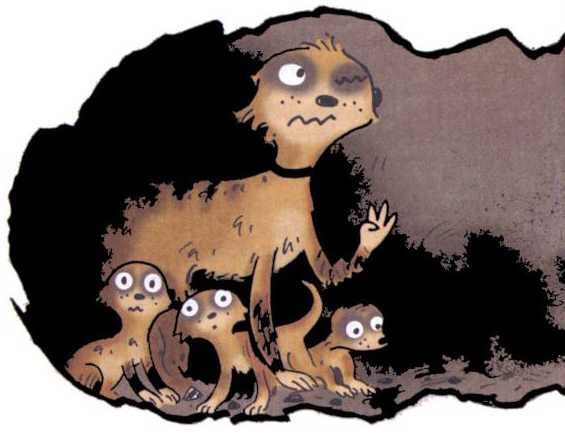 Иллюстрация к книге — Сурикаты-сумасброды. Невероятно смешные приключения в пустыне [i_020.jpg]