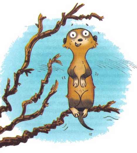 Иллюстрация к книге — Сурикаты-сумасброды. Невероятно смешные приключения в пустыне [i_025.jpg]