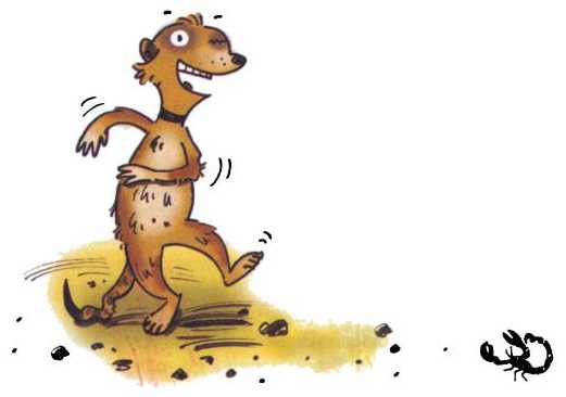 Иллюстрация к книге — Сурикаты-сумасброды. Невероятно смешные приключения в пустыне [i_027.jpg]