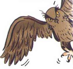 Иллюстрация к книге — Сурикаты-сумасброды. Невероятно смешные приключения в пустыне [i_028.jpg]