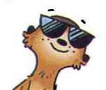 Иллюстрация к книге — Сурикаты-сумасброды. Невероятно смешные приключения в пустыне [i_040.jpg]