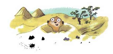 Иллюстрация к книге — Сурикаты-сумасброды. Невероятно смешные приключения в пустыне [i_048.jpg]