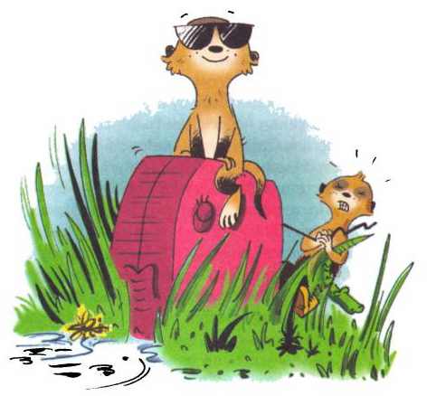 Иллюстрация к книге — Сурикаты-сумасброды. Невероятно смешные приключения в пустыне [i_049.jpg]