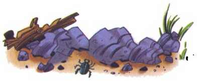 Иллюстрация к книге — Сурикаты-сумасброды. Невероятно смешные приключения в пустыне [i_068.jpg]