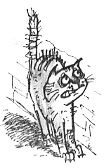 Иллюстрация к книге — Тюре Свентон, частный детектив [i_052.png]