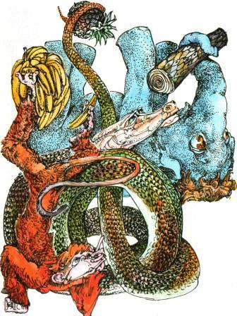 Иллюстрация к книге — Бабушка удава [i_006.jpg]