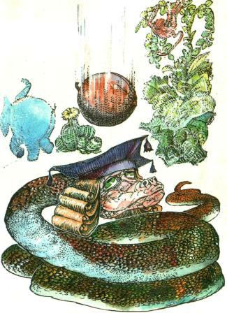 Иллюстрация к книге — Бабушка удава [i_035.jpg]