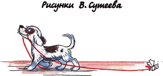 Иллюстрация к книге — Котёнок по имени Гав [i_001.png]