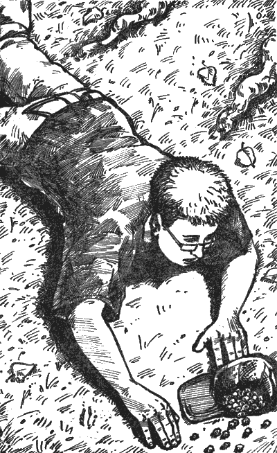 Иллюстрация к книге — Тайна синего фрегата [sc03.png]