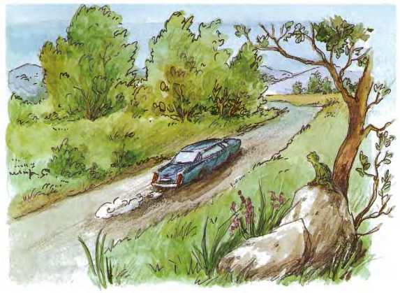 Иллюстрация к книге — Дракоша выходит в люди [i_060.jpg]