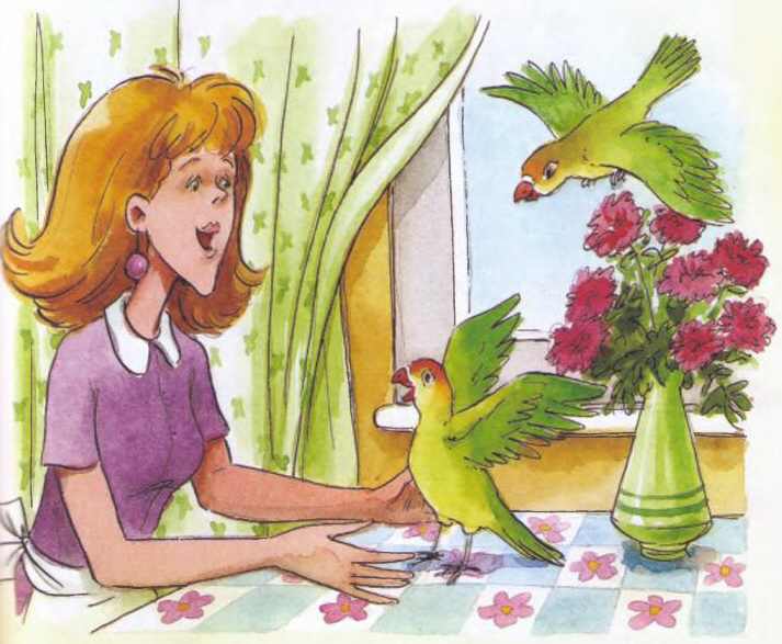 Иллюстрация к книге — Дракоша в городе [i_051.jpg]