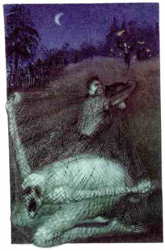 Иллюстрация к книге — Кошмарные ужасы [i_023.jpg]