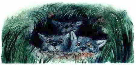 Иллюстрация к книге — Ужастики [i_026.jpg]