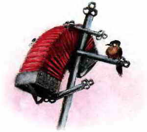 Иллюстрация к книге — Ужастики [i_035.jpg]