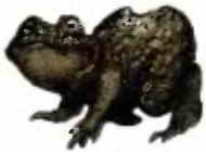 Иллюстрация к книге — Ужастики [i_046.jpg]