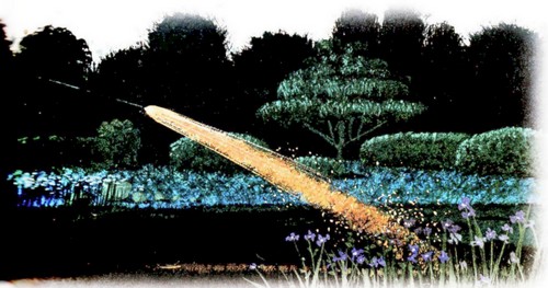 Иллюстрация к книге — Приключения «Котобоя» [i_045.jpg]