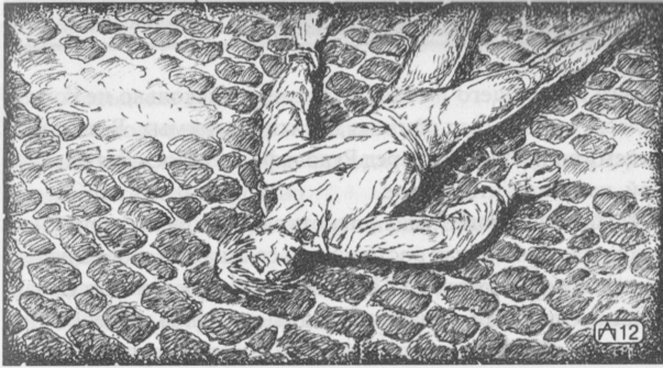 Иллюстрация к книге — Беглая монахиня [image15.png]