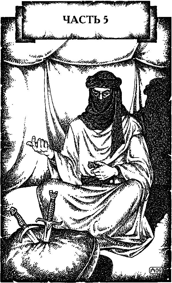 Иллюстрация к книге — Крестоносец. За Гроб Господень [i_010.png]