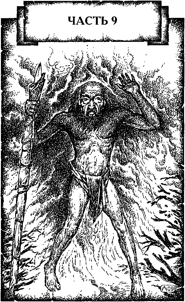 Иллюстрация к книге — Крестоносец. За Гроб Господень [i_014.png]