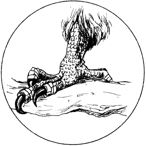 Иллюстрация к книге — Вечный альманах гарпий [i_001.png]