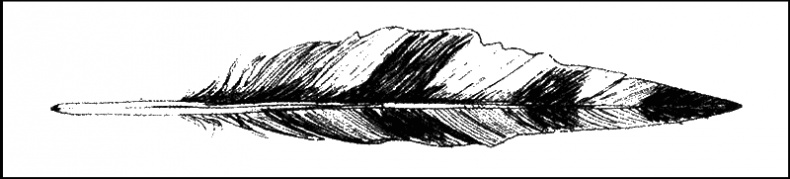 Иллюстрация к книге — Вечный альманах гарпий [i_005.png]