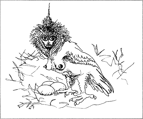 Иллюстрация к книге — Вечный альманах гарпий [i_006.png]