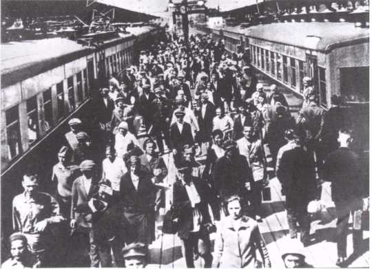 Иллюстрация к книге — Змееед [i_006.jpg]