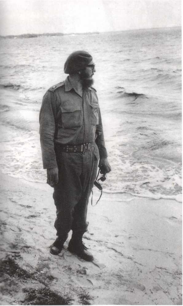 Иллюстрация к книге — Кузькина мать. Хроника великого десятилетия [i_053.jpg]