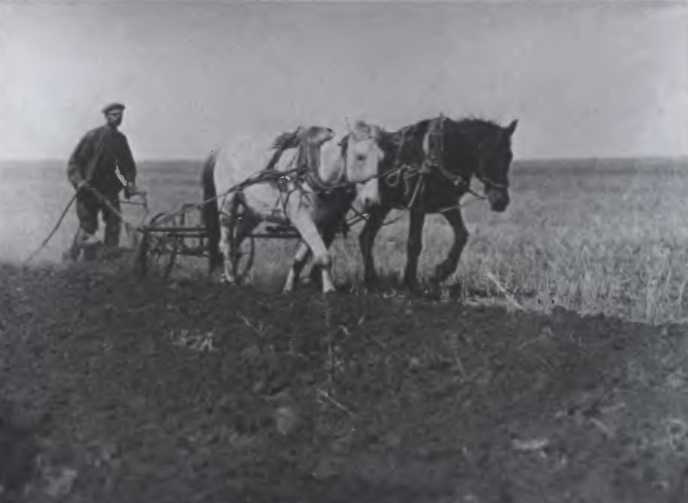 Иллюстрация к книге — Против всех [i_107.jpg]