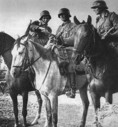 Иллюстрация к книге — Солдат по кличке Рекс [i_002.jpg]