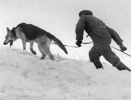 Иллюстрация к книге — Солдат по кличке Рекс [i_021.jpg]