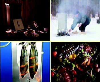 Иллюстрация к книге — Куда уходят львы [i_012.jpg]