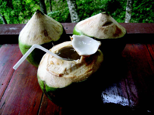 Иллюстрация к книге — Куда уходят львы [i_029.jpg]