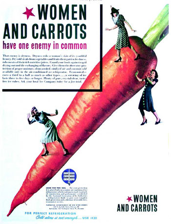 Иллюстрация к книге — Куда уходят львы [i_055.jpg]