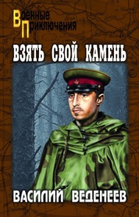 Книга Взять свой камень