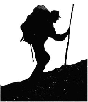 Иллюстрация к книге — Мохнатый бог [i_005.jpg]