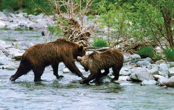 Иллюстрация к книге — Мохнатый бог [i_030.jpg]