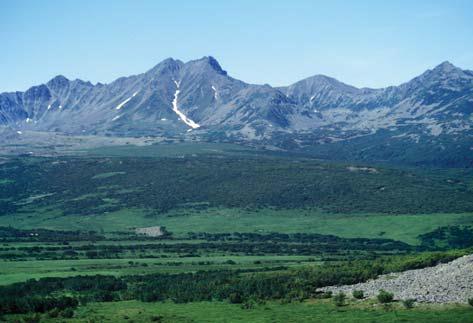 Иллюстрация к книге — Мохнатый бог [i_058.jpg]