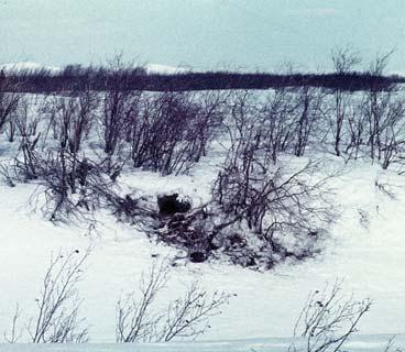 Иллюстрация к книге — Мохнатый бог [i_061.jpg]