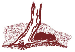 Иллюстрация к книге — Мохнатый бог [i_063.jpg]