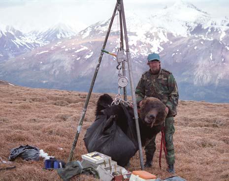 Иллюстрация к книге — Мохнатый бог [i_069.jpg]