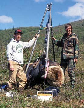 Иллюстрация к книге — Мохнатый бог [i_070.jpg]