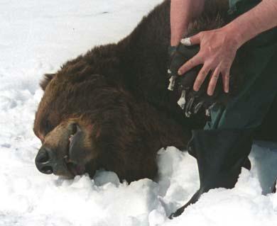 Иллюстрация к книге — Мохнатый бог [i_073.jpg]