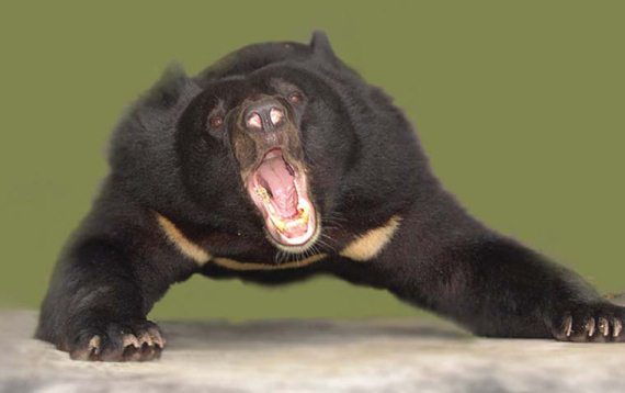 Иллюстрация к книге — Мохнатый бог [i_085.jpg]